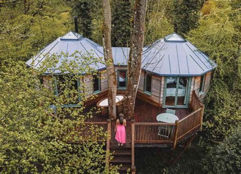 Unleash your imagination with a magical treehouse stay at Magic Tree